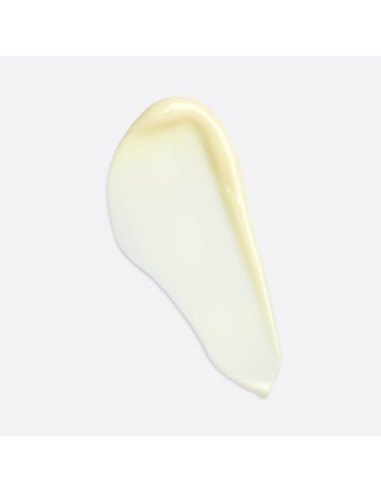 0.3% Retinol + 2% Bakuchiol Treatment