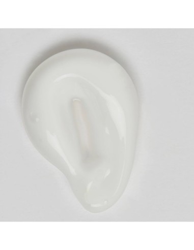 Bakuchiol Moisturizer