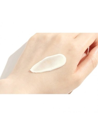 Birch Juice Moisturizing Sun Cream SPF 50+ PA++++