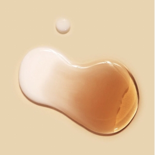 Vegan Kombucha Tea Essence 2