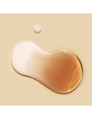 Vegan Kombucha Tea Essence