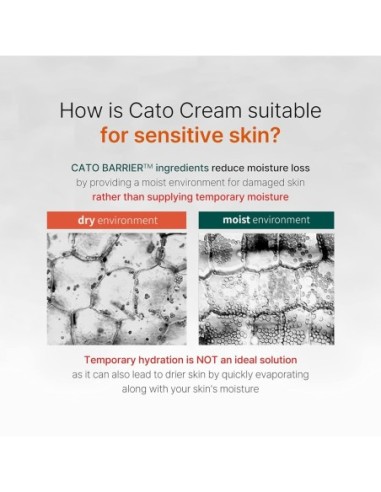 Cato Cream