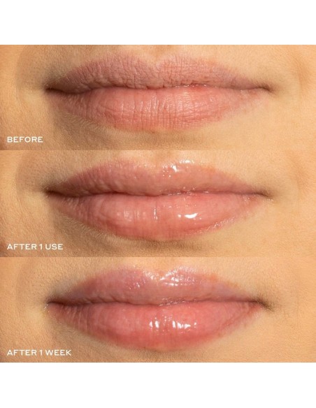 *SOBRE PEDIDO* (Original) Pout Preserve Hydrating Peptide Lip